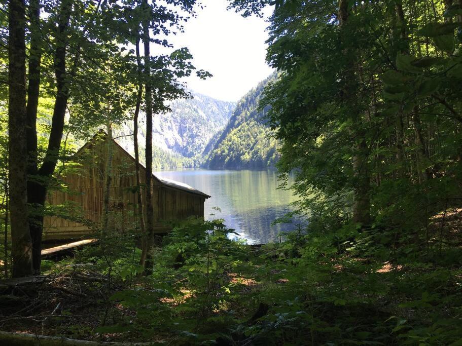 Alpenurlaub II Wohnung Mit Traumausblick Бад-Міттерндорф Екстер'єр фото